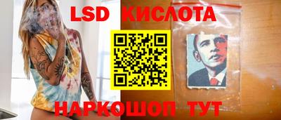 ешки Можга