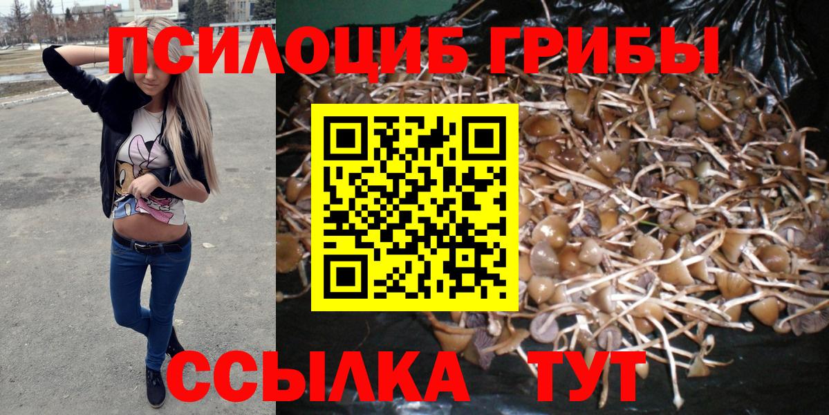 Псилоцибиновые грибы прущие грибы Туймазы